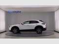 Mazda CX-30 2.0 Skyactiv-G Evolution 2WD 90kW Blanco - thumbnail 8