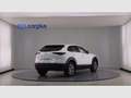 Mazda CX-30 2.0 Skyactiv-G Evolution 2WD 90kW Blanco - thumbnail 5
