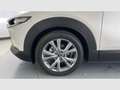Mazda CX-30 2.0 Skyactiv-G Evolution 2WD 90kW Blanco - thumbnail 46