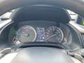 Lexus RX 450h (hybrid) *Sport Edition*LED*Allrad*Leder* Argintiu - thumbnail 14