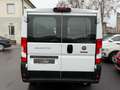 Fiat Ducato 9 POSTI 2.2 mjet 140cv CARPLAY/TELECAMERA Weiß - thumbnail 5