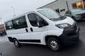 Fiat Ducato 9 POSTI 2.2 mjet 140cv CARPLAY/TELECAMERA Weiß - thumbnail 11