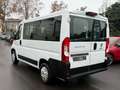 Fiat Ducato 9 POSTI 2.2 mjet 140cv CARPLAY/TELECAMERA Weiß - thumbnail 4