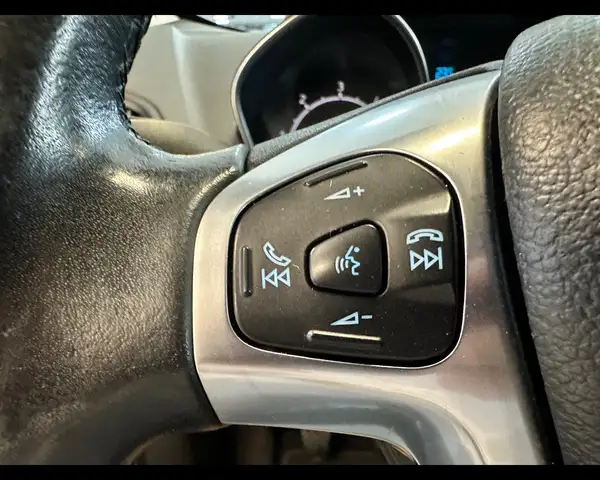 Ford Ecosport view 9