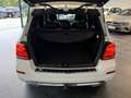 Mercedes-Benz GLK 220 4Matic 360°Kamera*Comand*AHK*Scheckheft Weiß - thumbnail 21