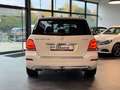 Mercedes-Benz GLK 220 4Matic 360°Kamera*Comand*AHK*Scheckheft Weiß - thumbnail 12