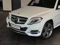 Mercedes-Benz GLK 220 4Matic 360°Kamera*Comand*AHK*Scheckheft Weiß - thumbnail 2