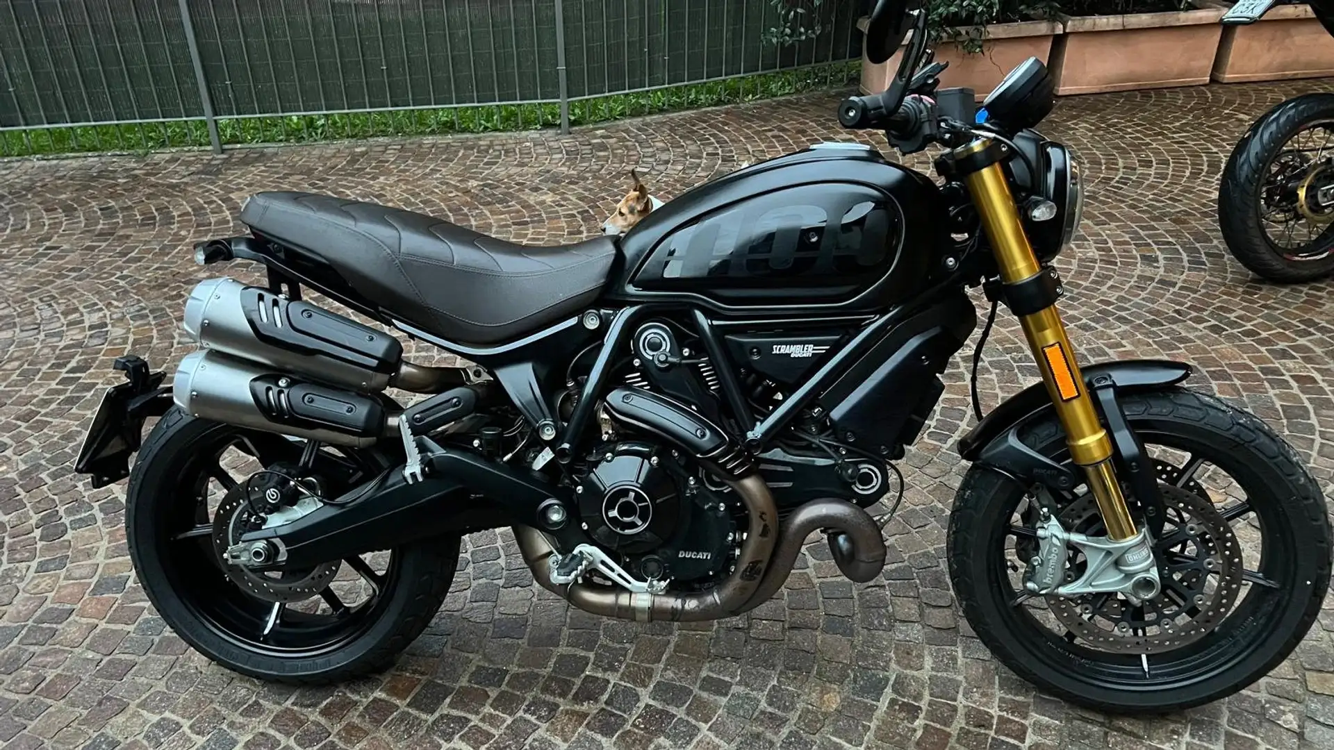 Ducati Scrambler Sport pro 1100 Czarny - 1