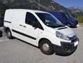 Citroen jumpy Blanco - thumbnail 1