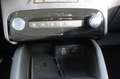 Ford Kuga 1.5 EcoB. ST-Line X Winterpaket Sync 4 Blau - thumbnail 14