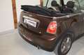 MINI Cooper Cabrio **1.Besitz**Automatik**Kredit mög** Braun - thumbnail 10
