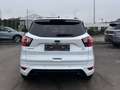 Ford Kuga Kuga 1.5 EcoBoost 4x4 Aut. ST-Line Wit - thumbnail 6