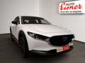 Mazda CX-30 G140 HOMURA Navigation, Rückfahrkamera Weiß - thumbnail 15