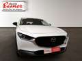 Mazda CX-30 G140 HOMURA Navigation, Rückfahrkamera Weiß - thumbnail 16