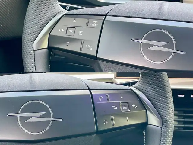 Opel Grandland view 14