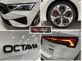 Skoda Octavia RS 2.0 TSI DSG ACC AHK Kamera 19´ Wit - thumbnail 19