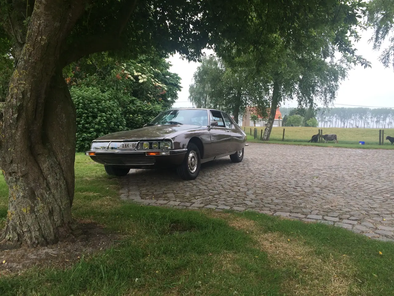 Citroen SM 2.7 V6, foto 7