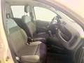 Fiat Panda 1.2 .Lounge. Beige - thumbnail 8