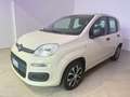 Fiat Panda 1.2 .Lounge. Beige - thumbnail 3