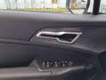 Kia Sportage Sportage 1.6 crdi mhev Business dct Bianco - thumbnail 14