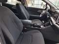 Kia Sportage Sportage 1.6 crdi mhev Business dct Bianco - thumbnail 25