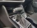 Kia Sportage Sportage 1.6 crdi mhev Business dct Bianco - thumbnail 12