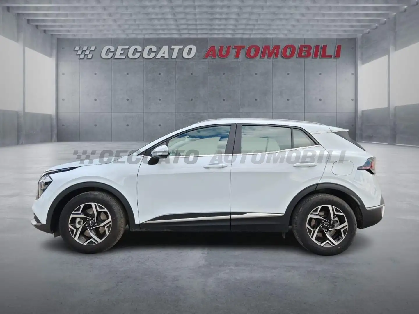Kia Sportage Sportage 1.6 crdi mhev Business dct Bianco - 2