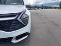Kia Sportage Sportage 1.6 crdi mhev Business dct Bianco - thumbnail 19