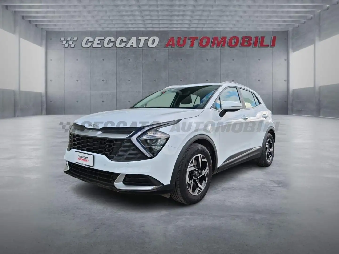 Kia Sportage Sportage 1.6 crdi mhev Business dct Bianco - 1