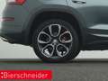 Skoda Kodiaq 2.0 TDI DSG 4x4 RS AHK STANDH eHECK 360 Grau - thumbnail 29
