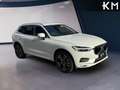 Volvo XC60 B4 Business Plus AWD Aut. Blanco - thumbnail 7