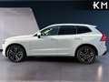 Volvo XC60 B4 Business Plus AWD Aut. Blanco - thumbnail 2