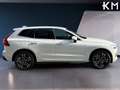 Volvo XC60 B4 Business Plus AWD Aut. Blanco - thumbnail 6