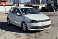 Volkswagen Polo Polo 1.4 TDI 5p. Comfortline Weiß - thumbnail 3