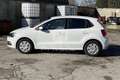 Volkswagen Polo Polo 1.4 TDI 5p. Comfortline Weiß - thumbnail 8