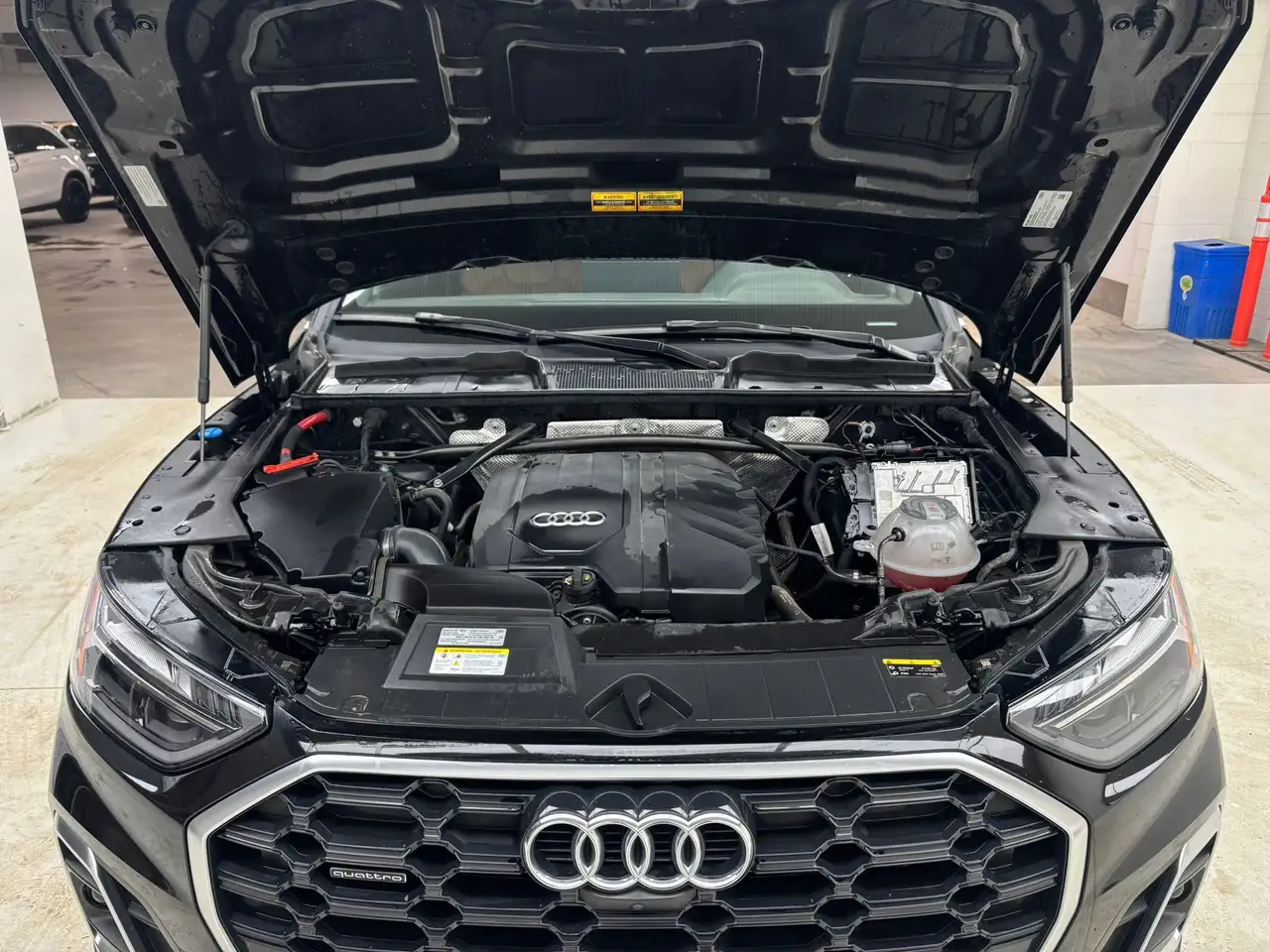 Audi Q5 снимка Audi Q5