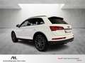 Audi Q5 40 TDI S-line quattro S tronic Matrix Navi AHK Opt Weiß - thumbnail 3