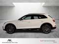 Audi Q5 40 TDI S-line quattro S tronic Matrix Navi AHK Opt Weiß - thumbnail 2