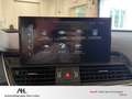 Audi Q5 40 TDI S-line quattro S tronic Matrix Navi AHK Opt Weiß - thumbnail 19