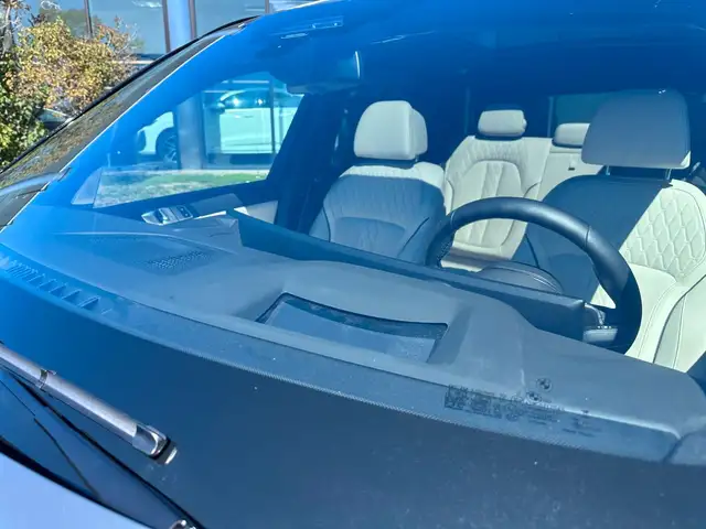 BMW X5 view 11