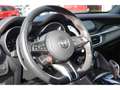Alfa Romeo Stelvio Bi-turbo Quadrifoglio Q4 2.9 V6 BiTurbo Navi Sound Grau - thumbnail 18