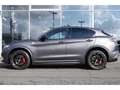 Alfa Romeo Stelvio Bi-turbo Quadrifoglio Q4 2.9 V6 BiTurbo Navi Sound Grau - thumbnail 6