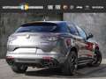 Alfa Romeo Stelvio Bi-turbo Quadrifoglio Q4 2.9 V6 BiTurbo Navi Sound Grau - thumbnail 2