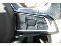 Alfa Romeo Stelvio Bi-turbo Quadrifoglio Q4 2.9 V6 BiTurbo Navi Sound Grau - thumbnail 21