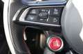 Alfa Romeo Stelvio Quadrifoglio Q4 Grau - thumbnail 20