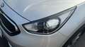 Kia Niro 1.6 GDI HIBRID EMOTION 141CV 5P Plateado - thumbnail 18