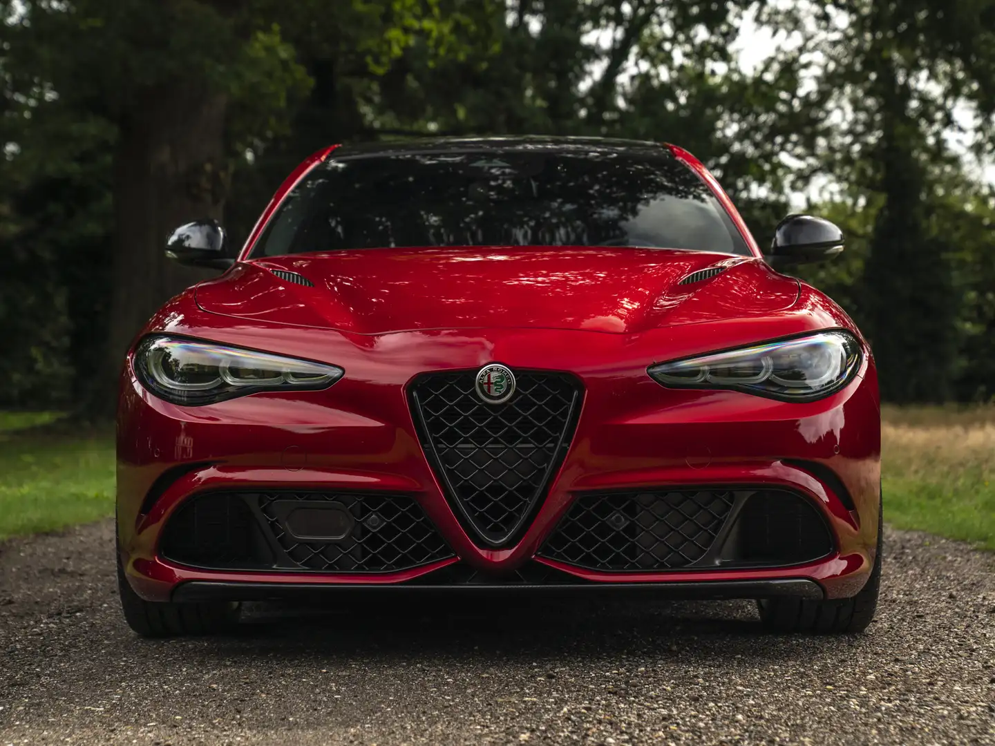 Alfa Romeo Giulia 2.9 V6 Quadrifoglio MY25 | Facelift | Carbon dak | Rood - 2