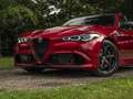Alfa Romeo Giulia 2.9 V6 Quadrifoglio MY25 | Facelift | Carbon dak | Rood - thumbnail 26