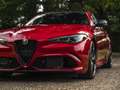 Alfa Romeo Giulia 2.9 V6 Quadrifoglio MY25 | Facelift | Carbon dak | Rood - thumbnail 17