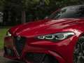 Alfa Romeo Giulia 2.9 V6 Quadrifoglio MY25 | Facelift | Carbon dak | Rood - thumbnail 27